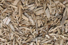 biomass boilers Piddlehinton